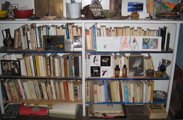 bookshelf2_600.jpg