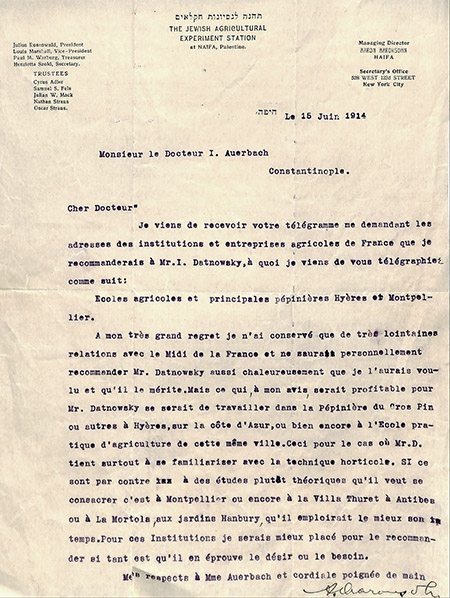 Letter from Aaron Aaronsohn to Israel Auerbach in Constantinople, June 1914.