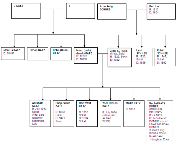 Katz Family Tree - Parents of Isaac Katz and Zlata Schnee.