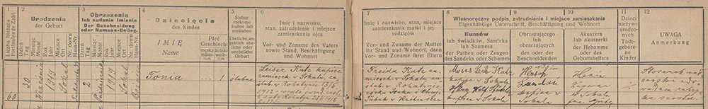 Tonia Katz birth record.