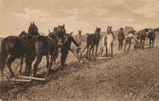 Plowmen in Kfar Uria: Postcard 1915, Israel